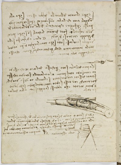 Código sobre el vuelo de los pájaros, c. 1505-06, manuscrito en papel, cc. 18, hoja 6 verso de Leonardo da Vinci